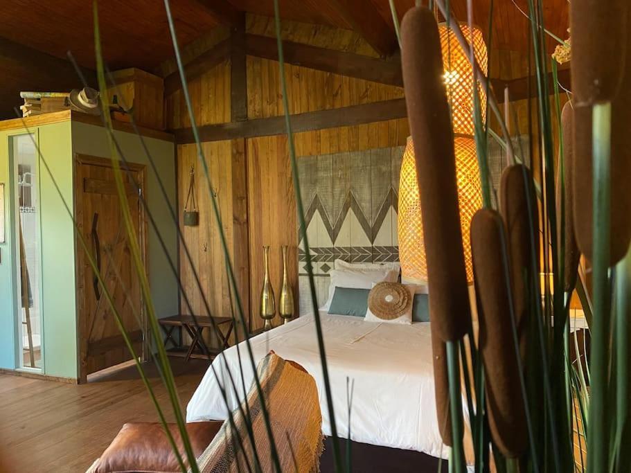Pine Lodge - Direct Train To Porto Valongo  Zewnętrze zdjęcie