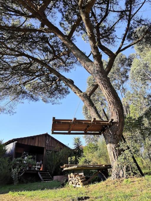 Pine Lodge - Direct Train To Porto Valongo  Zewnętrze zdjęcie