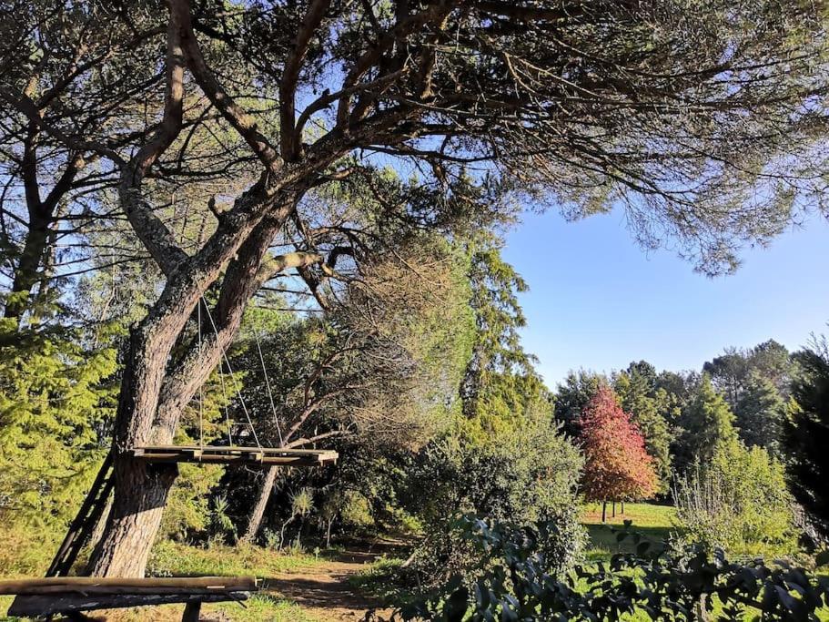 Pine Lodge - Direct Train To Porto Valongo  Zewnętrze zdjęcie